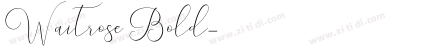 Waitrose Bold字体转换
